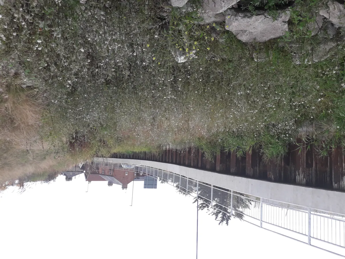 The walled channel of the River Lavant in Chichester