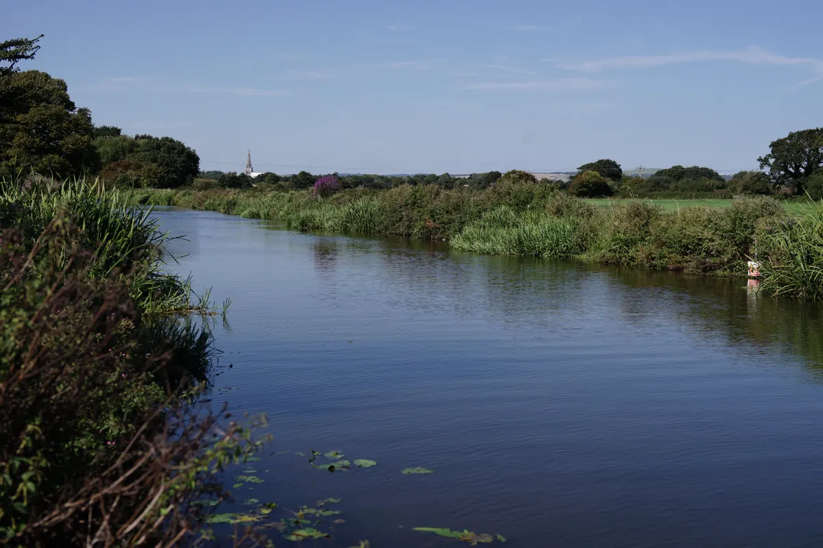 The Chichester Canal between reedy banks