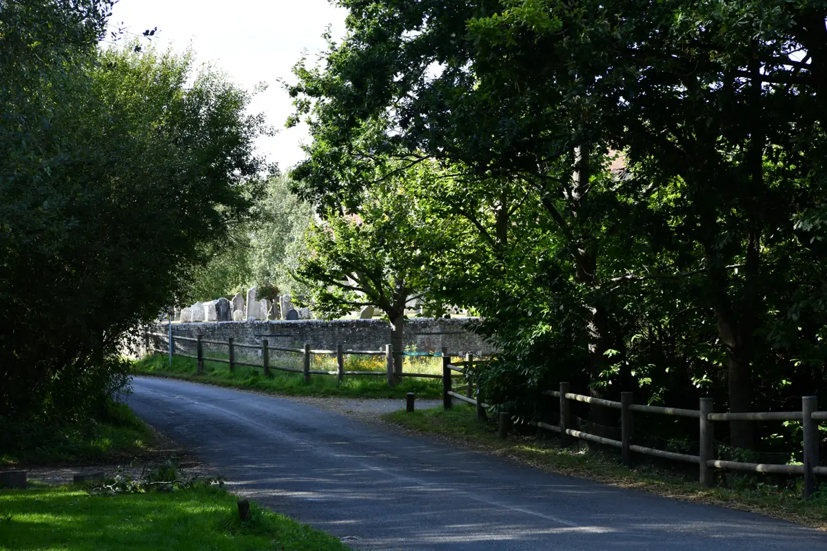 Itchenor Road running between trees into West Itchenor