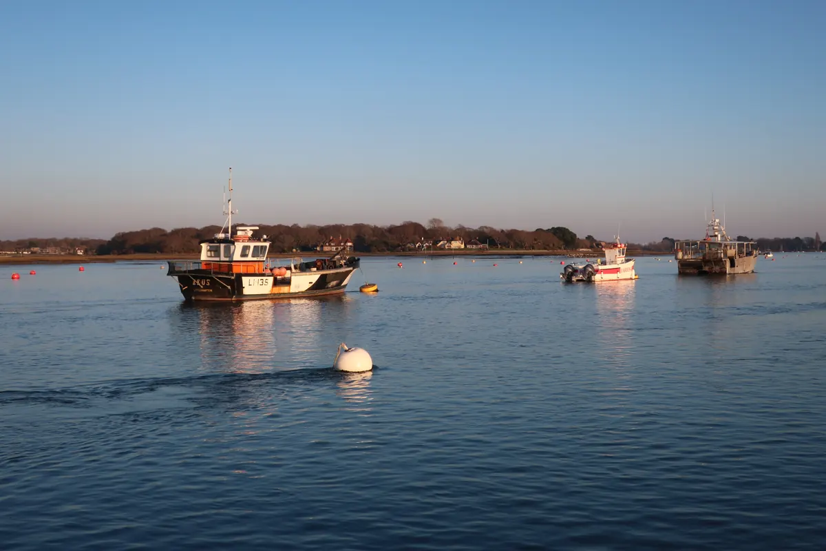 Boats moored in the Chichester Channel off West Itchenor